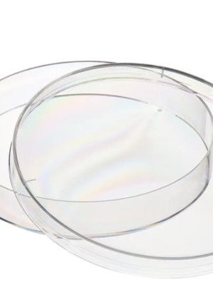 Platos de Petri Thermo Scientific™ Nunc™ 320 unidades