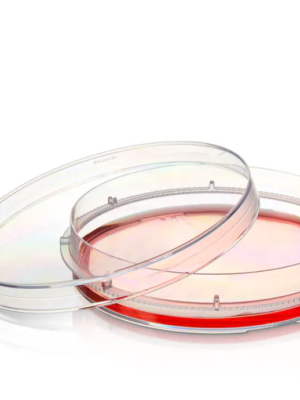 Nunc™ Dishes with UpCell™ Surface