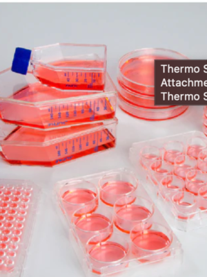 Thermo Scientific Nunclon™ Sphera™ Dishes. 21.5 cm²