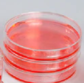 Thermo Scientific Nunclon™ Sphera™ Dishes (5 Unidades por Bolsa)