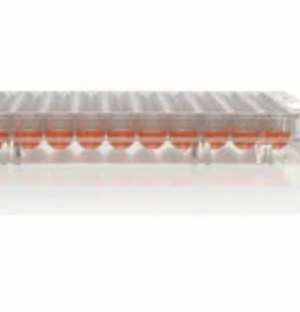 Thermo Scientific 96 Well Round (U) Bottom Plate, TC Surface,